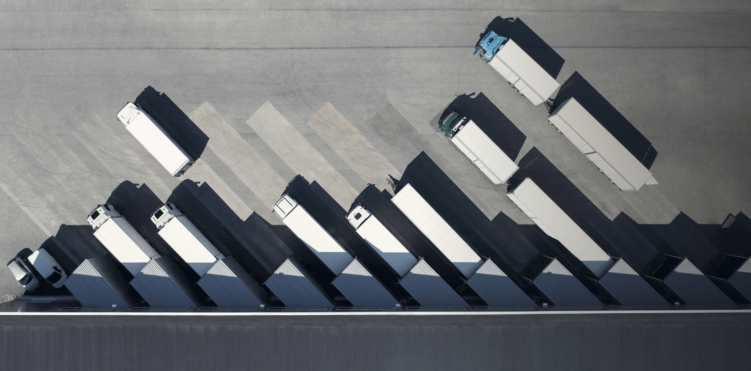 Investment Portfolio